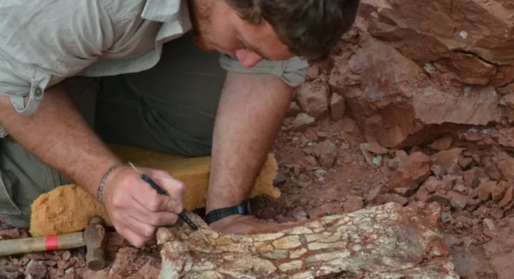 Αργεντινή: Παλαιοντολόγοι βρήκαν έναν τεράστιο πτερόσαυρο που έζησε πριν από 86 εκατομμύρια χρόνια