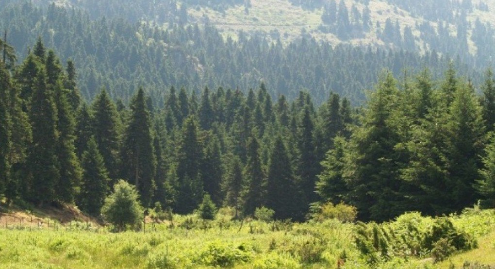 Στην Ελλάδα το βραβείο Natura 2000 για την προστασία χερσαίων εκτάσεων Στην Ελλάδα το βραβείο Natura 2000 για την προστασία χερσαίων εκτάσεων