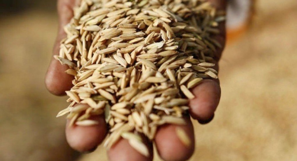 Η κυβέρνηση της Ινδίας απαγόρευσε τις εξαγωγές σιτηρών