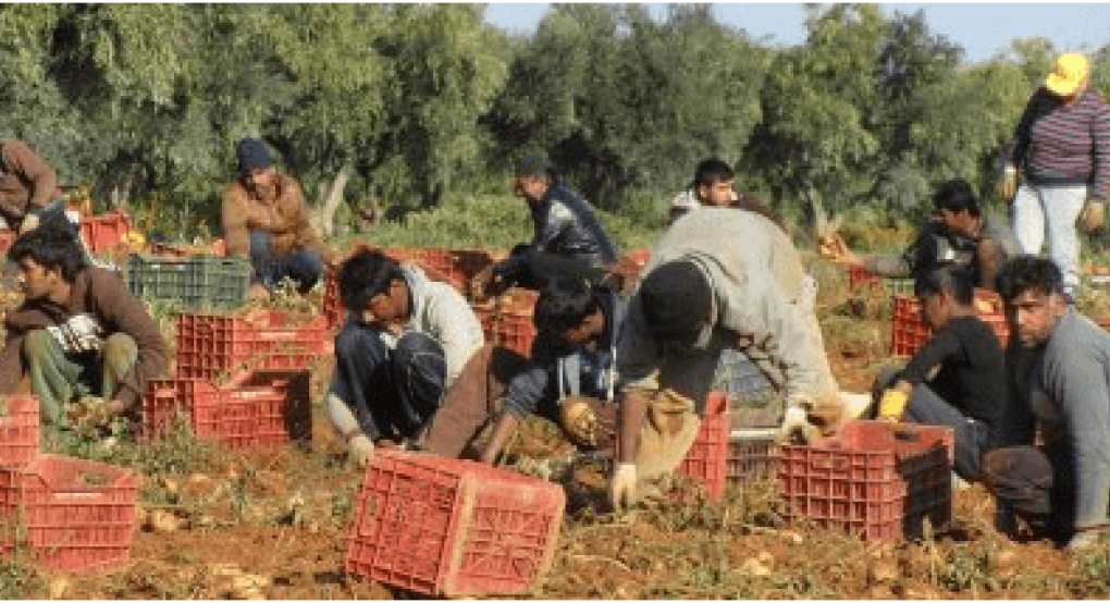 Άμεση πολιτική απόφαση για εργάτες γης ζητούν αγροτικές οργανώσεις και φορείς Άμεση πολιτική απόφαση για εργάτες γης ζητούν αγροτικές οργανώσεις και φορείς