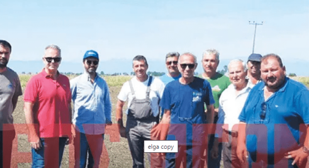 Αυτοψία από κλιμάκιο του ΕΛΓΑ Αυτοψία από κλιμάκιο του ΕΛΓΑ