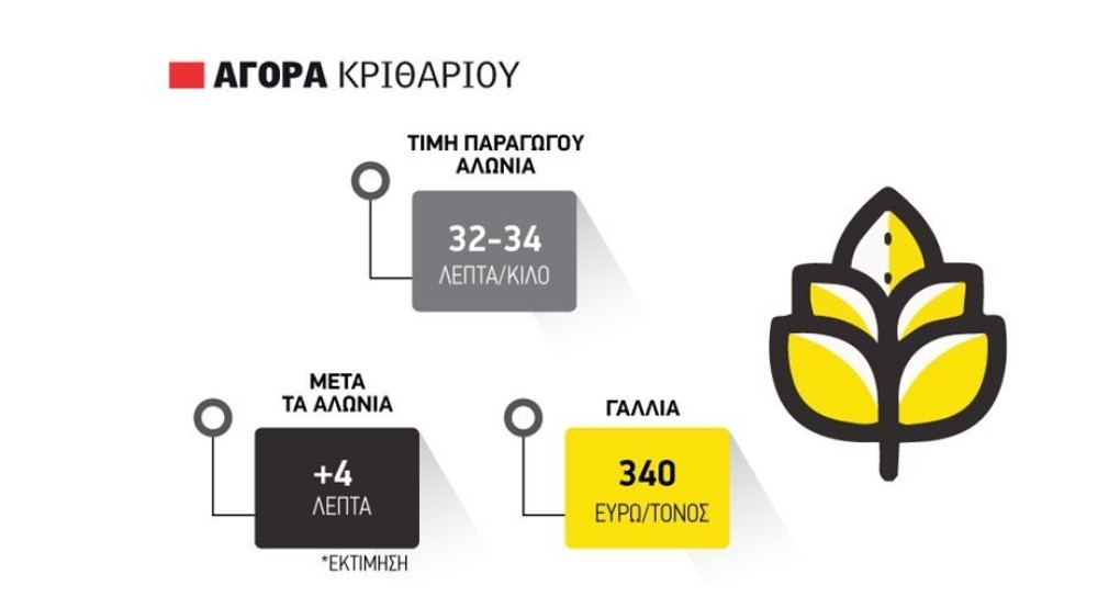 Επιπλέον 4 λεπτά το κιλό υπολογίζει η αγορά για το κριθάρι Επιπλέον 4 λεπτά το κιλό υπολογίζει η αγορά για το κριθάρι