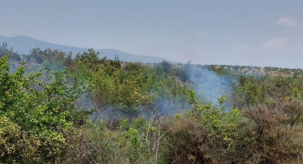 Φωτιά στο Άνυδρο Φωτιά στο Άνυδρο