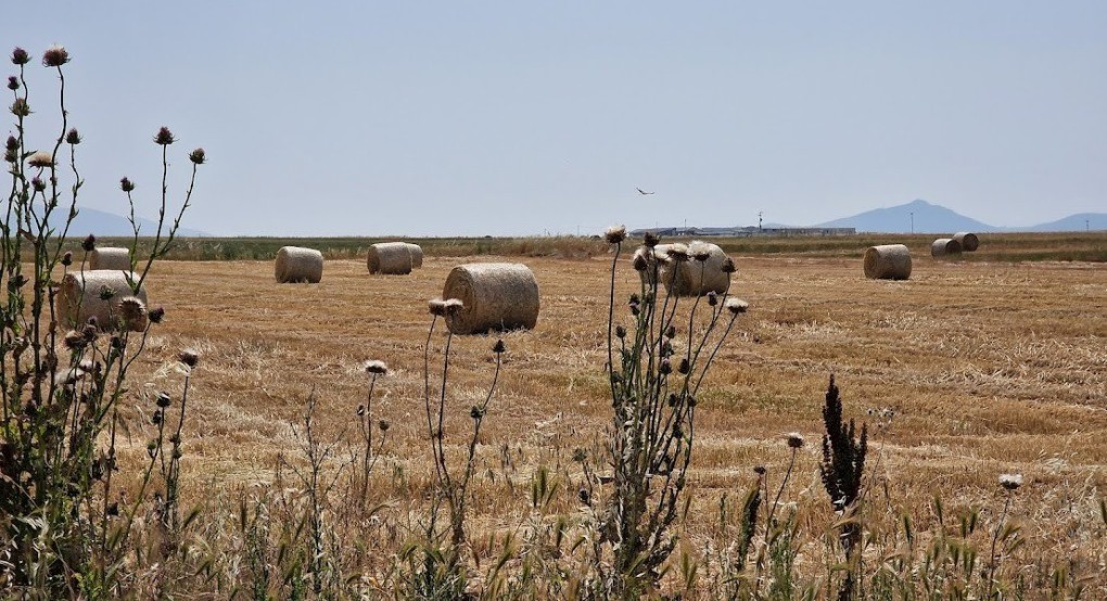 Ο καιρός σήμερα 26/6