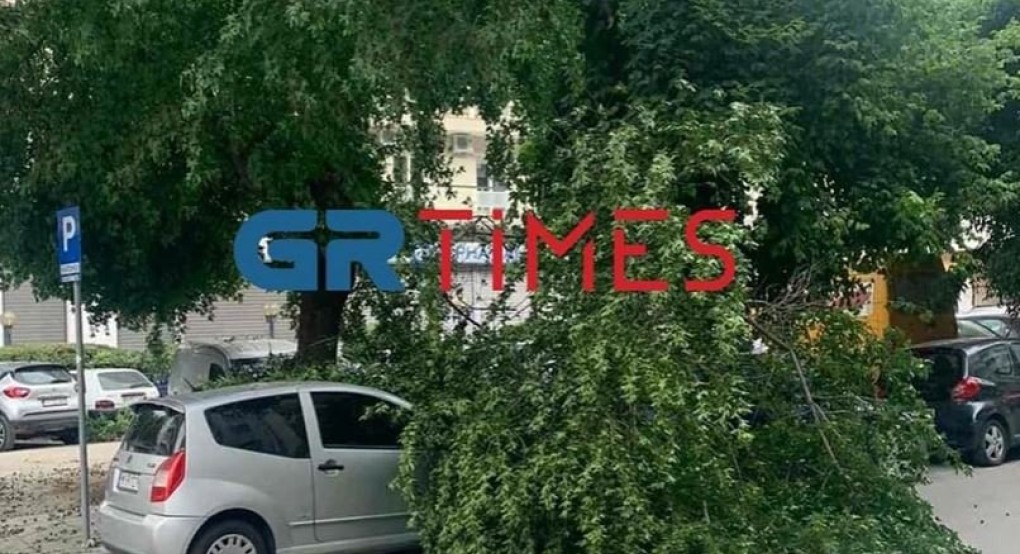 Θεσσαλονίκη- Άλλαξε απότομα ο καιρός από καύσωνα σε βροχές και πτώσεις δέντρων