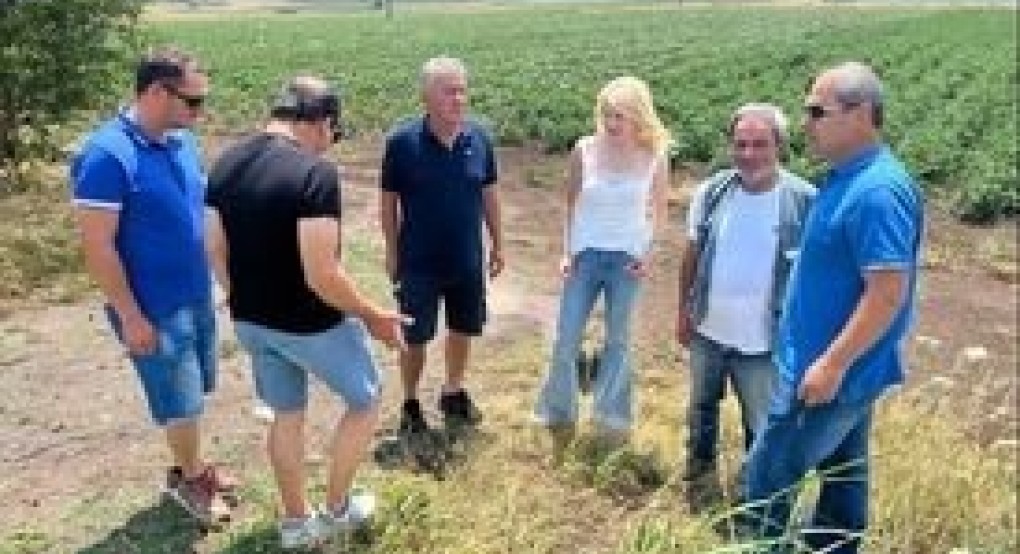 Στα Άθυρα και την Ραχώνα η Θεοδώρα Τζάκρη Στα Άθυρα και την Ραχώνα η Θεοδώρα Τζάκρη