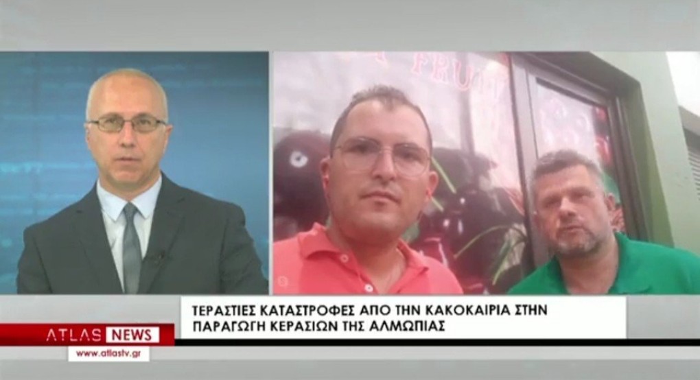 Τα προβλήματα των κερασοπαραγωγών Τα προβλήματα των κερασοπαραγωγών