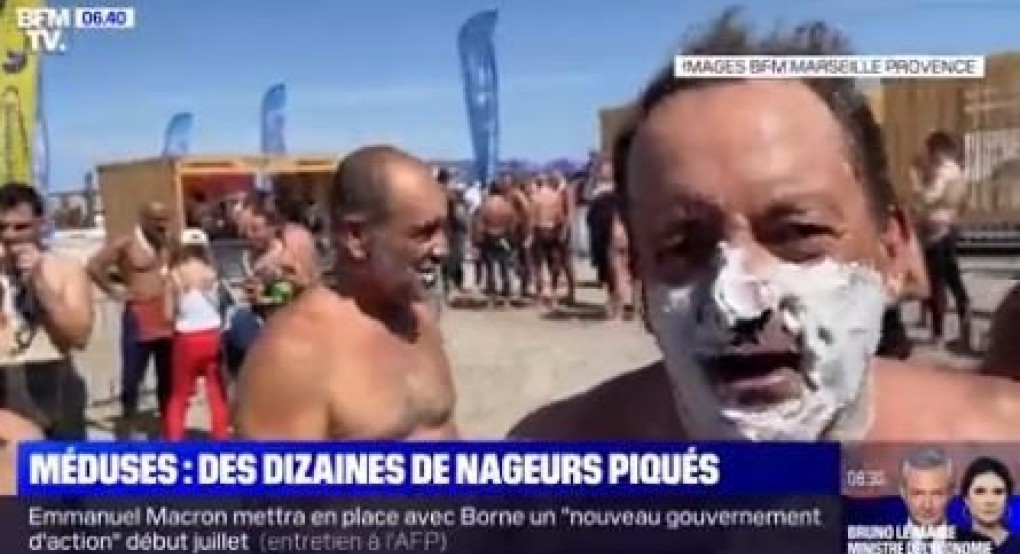 Γαλλία: Μέδουσες τσίμπησαν πάνω από 80 άτομα σε αγώνες κολύμβησης