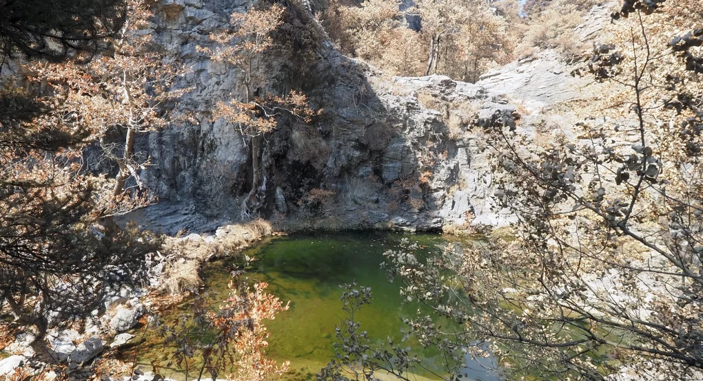 Η Βόρεια Εύβοια θα ξαναγίνει πράσινη