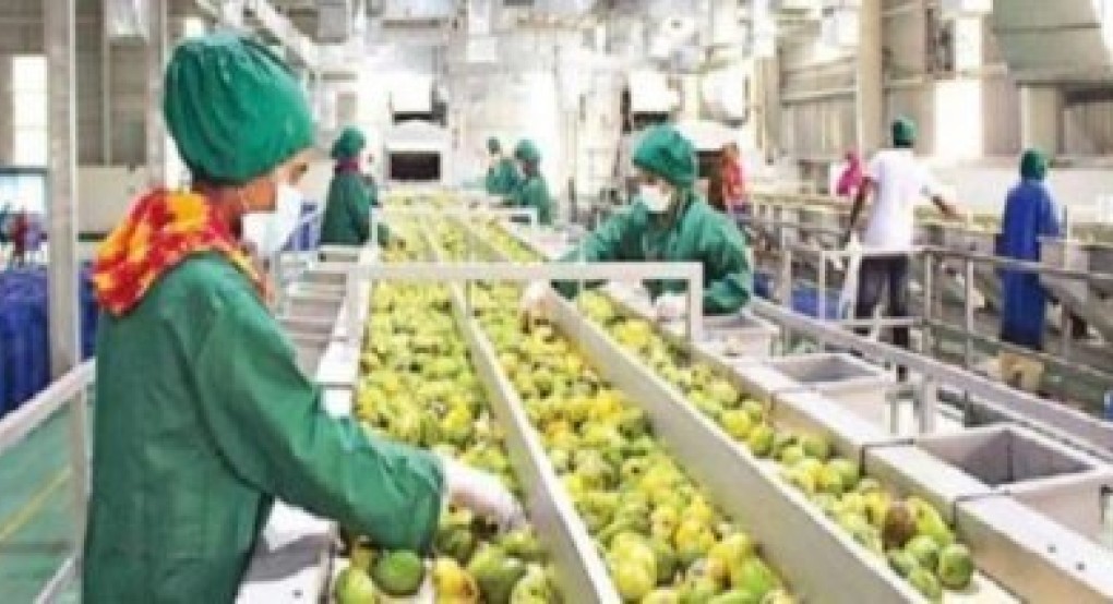 Στα 150 εκατ. ευρώ οι ενισχύσεις μεταποίησης αγροδιατροφικών μέσω αναπτυξιακού Στα 150 εκατ. ευρώ οι ενισχύσεις μεταποίησης αγροδιατροφικών μέσω αναπτυξιακού