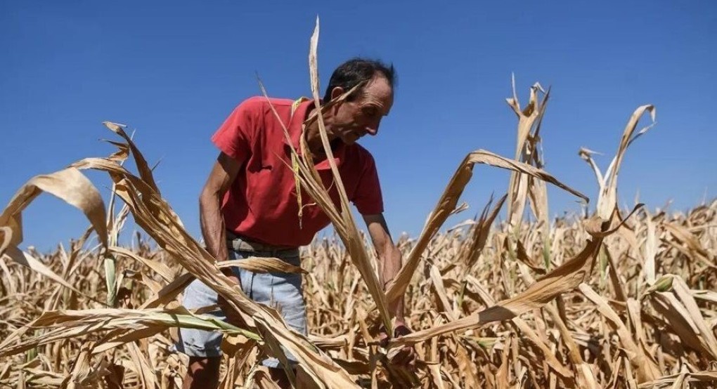 Ξηρασία,πόλεμος,ακριβές μεταφορές κρατούν στα ψηλά καλαμπόκι, σιτηρά