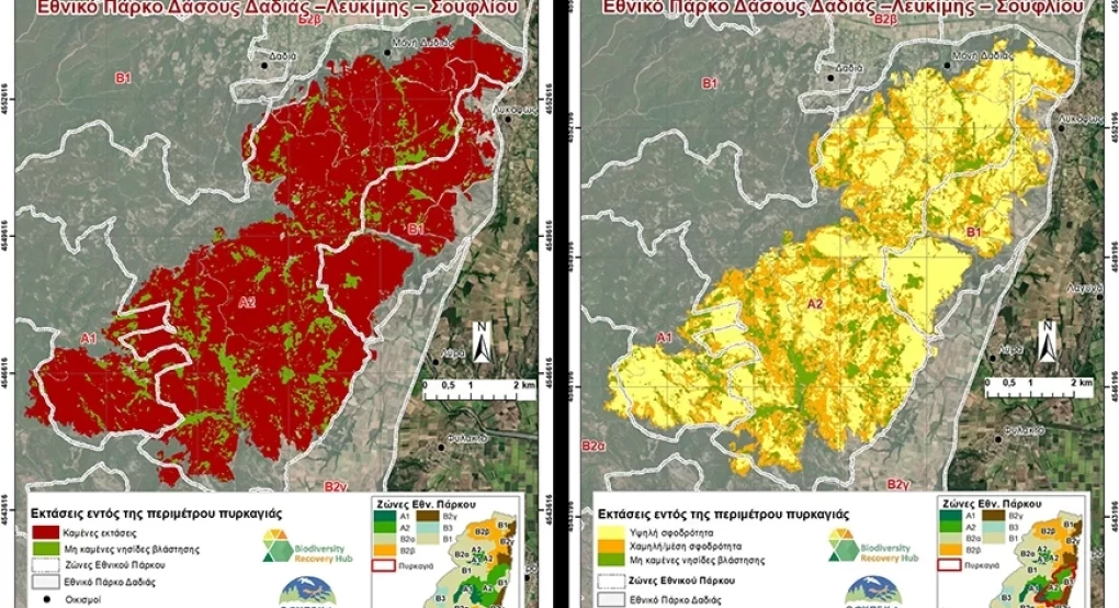 Φωτιά στη Δαδιά: Τι δείχνουν δορυφορικοί χάρτες για την περιβαλλοντική ζημιά