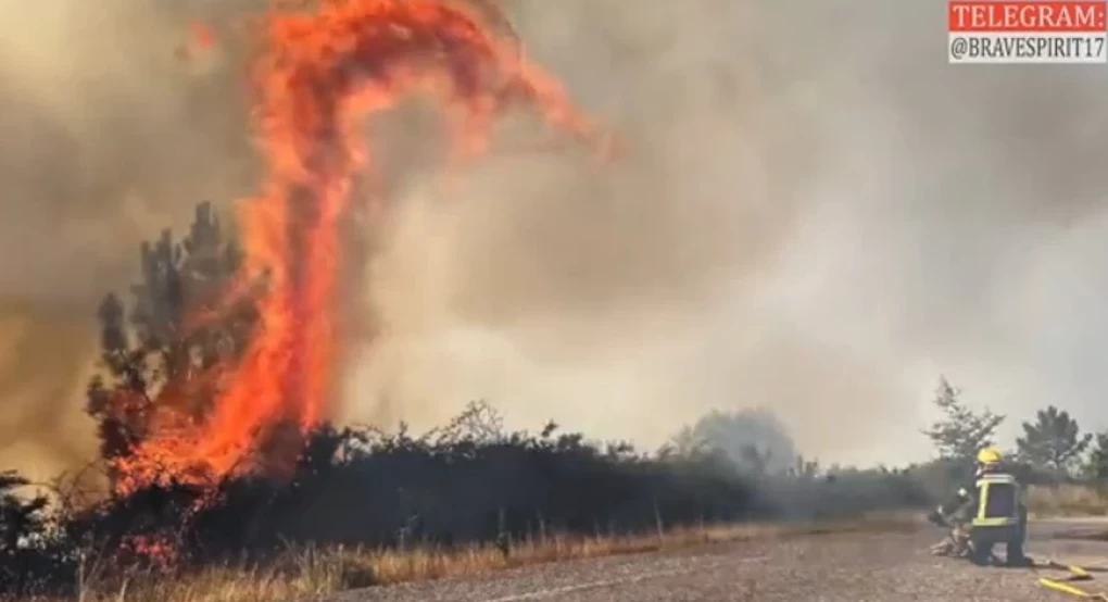 Γαλλία: Οι Αρχές της χώρας προειδοποιούν για «δράκους της φωτιάς» – Δείτε εντυπωσιακό βίντεο