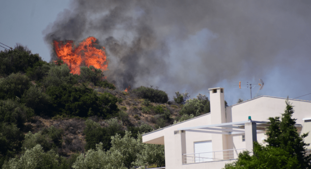 Φωτιά στην Αργολίδα Φωτιά στην Αργολίδα