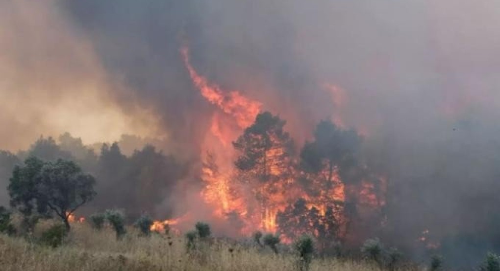 Πολιτική Προστασία: Πολύ υψηλός κίνδυνος για φωτιές το Σάββατο (13/8)