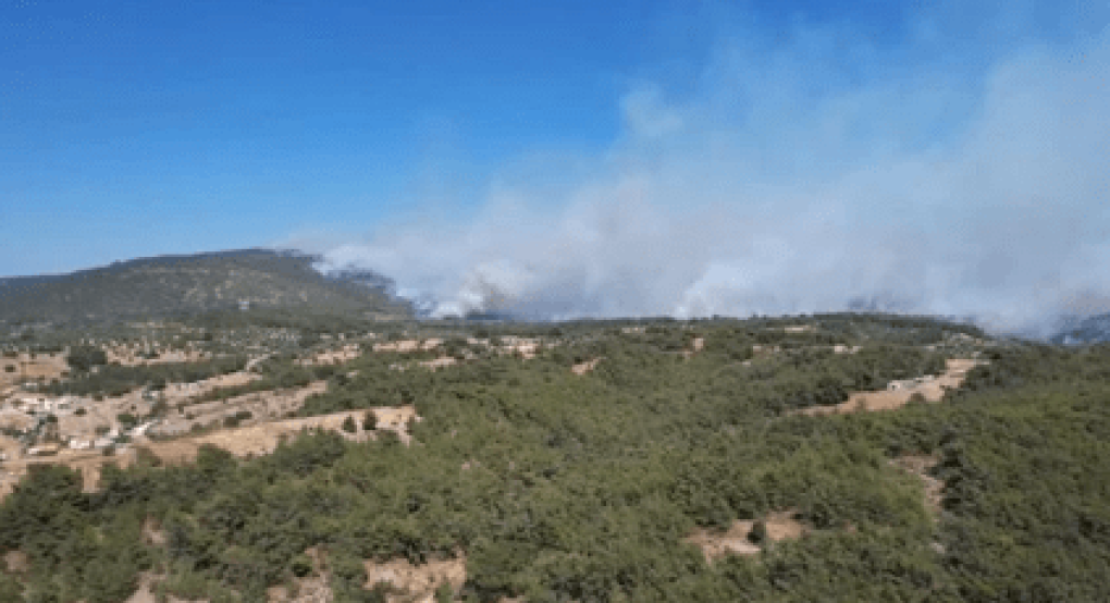Πυρκαγιά στο Περιγιάλι Λαυρίου Πυρκαγιά στο Περιγιάλι Λαυρίου