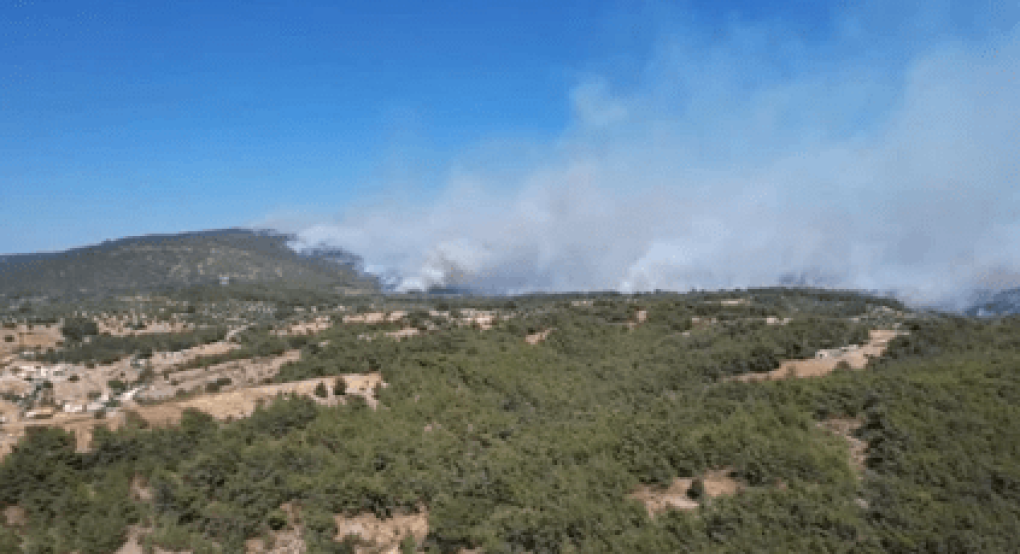 Πυρκαγιά στο Περιγιάλι Λαυρίου