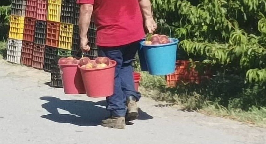 Οι εργάτες γης που μπορούν να απασχοληθούν ανά Περιφερειακή Ενότητα Οι εργάτες γης που μπορούν να απασχοληθούν ανά Περιφερειακή Ενότητα