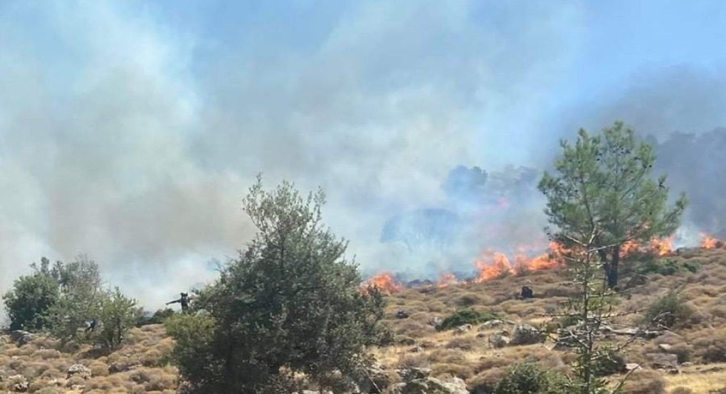 Φωτιά στον Πετσοφά – Δίπλα στο μεγάλο δάσος