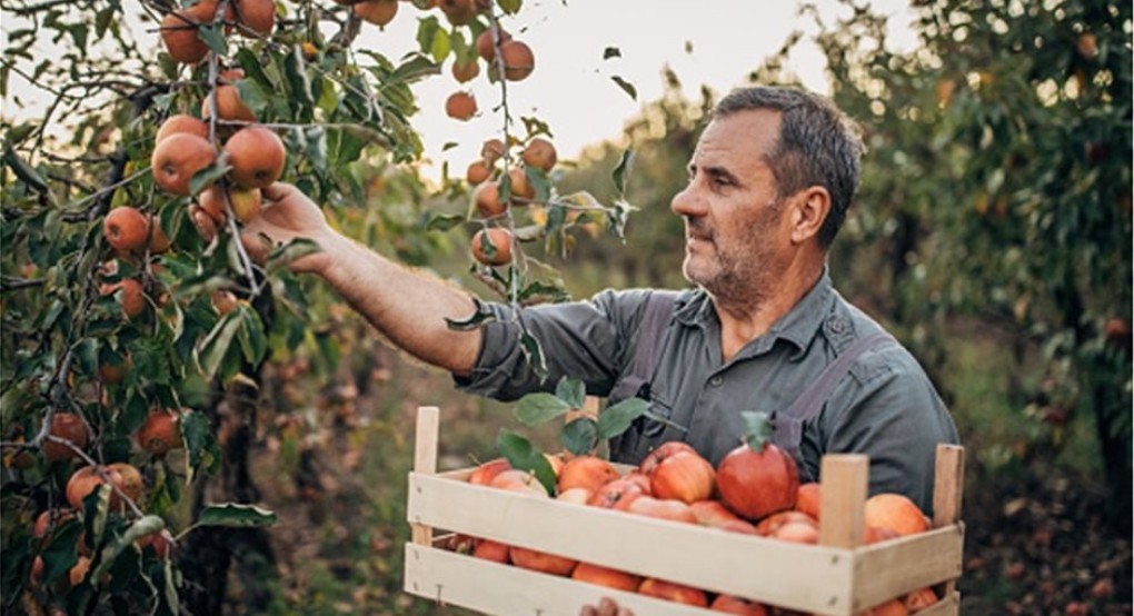 Απαλλαγή καταβολής τέλους επιτηδεύματος το 2022 σε αγρότες με βιβλία