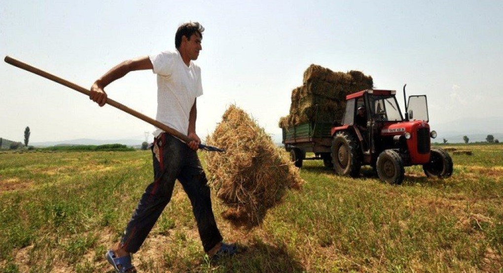 Νέοι αγρότες: Πότε θα ολοκληρωθεί η πρώτη φάση πληρωμών