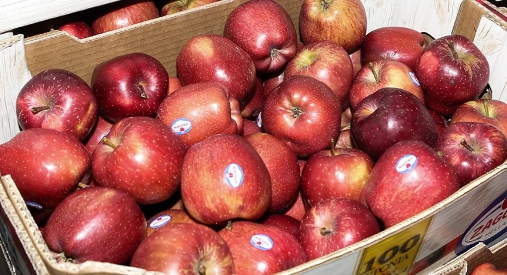 Απεγνωσμένοι οι αγρότες στη Μακεδονία: Κινδυνεύουν να μην πουληθούν 10.000 στρέμματα με μήλα