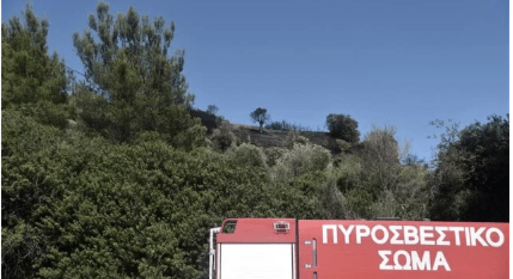 Θεσπρωτία: Πύρινο μέτωπο σε δασική έκταση στους Φιλιάτες Θεσπρωτία: Πύρινο μέτωπο σε δασική έκταση στους Φιλιάτες