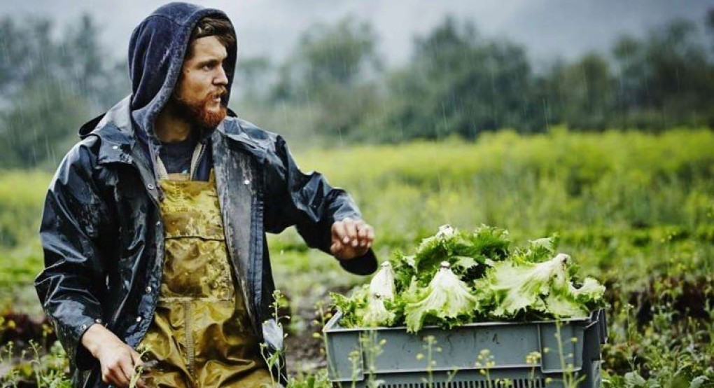 Οι καλλιεργητές λαχανικών στην Ευρώπη προειδοποιούν για ελλείψεις