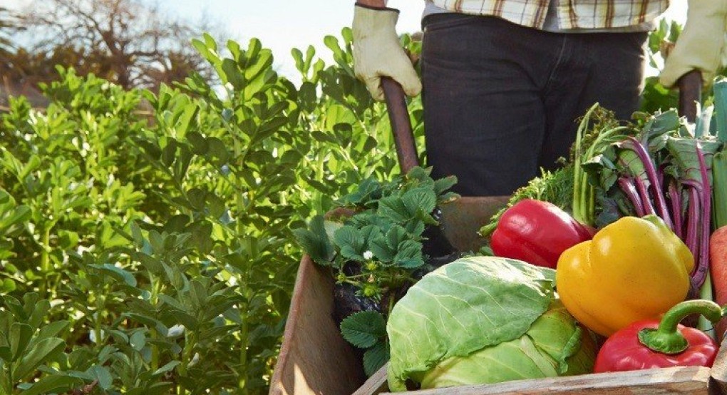 ΕΕ: Τα πρώτα ευρωπαϊκά βραβεία βιολογικής παραγωγής