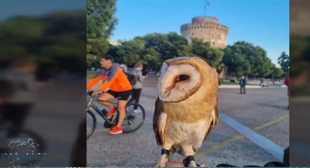 Θεσσαλονίκη: Βγήκε βόλτα στον Λευκό Πύργο με μία κουκουβάγια στο χέρι και προκαλεί σφοδρές αντιδράσεις