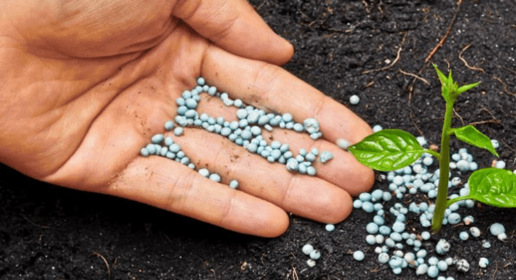 USDA: Τιμές και κόστος λιπασμάτων για το 2023 USDA: Τιμές και κόστος λιπασμάτων για το 2023