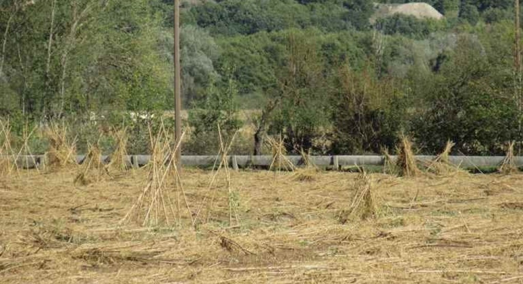 Πρέσπες: Τεράστιες ζημιές από την χαλαζόπτωση - Να κηρυχτεί σε κατάσταση έκτακτης ανάγκης η περιοχή ζήτησε ο Δήμος