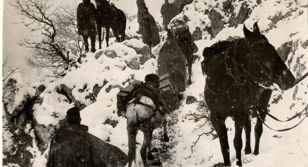 28η Οκτωβρίου:  Οι αφανείς ήρωες του 1940 – Μουλάρια και άλογα από την Κρήτη στον πόλεμο