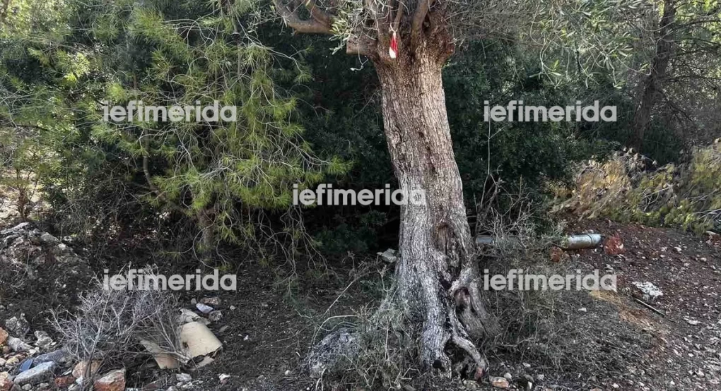 «Μάλλον από λάθος πυροβόλησε ο 14χρονος τον αδελφό του» -Πώς συνέβη η τραγωδία στη Μάνδρα «Μάλλον από λάθος πυροβόλησε ο 14χρονος τον αδελφό του» -Πώς συνέβη η τραγωδία στη Μάνδρα