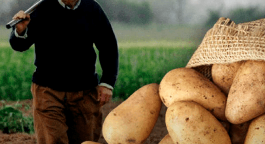 Αγρότης κατά Άδωνι Γεωργιάδη: «Πώς γίνεται να πουλάω τις πατάτες μου 25 λεπτά & ο καταναλωτής να τις αγοράζει 1,10 ευρώ;»