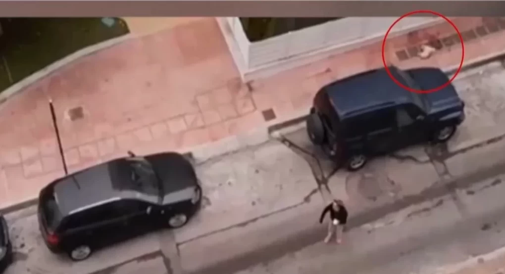 Οργή στη Δραπετσώνα: Λυκόσκυλο κατασπάραξε κανίς μέσα από την αγκαλιά της ιδιοκτήτριας του Οργή στη Δραπετσώνα: Λυκόσκυλο κατασπάραξε κανίς μέσα από την αγκαλιά της ιδιοκτήτριας του
