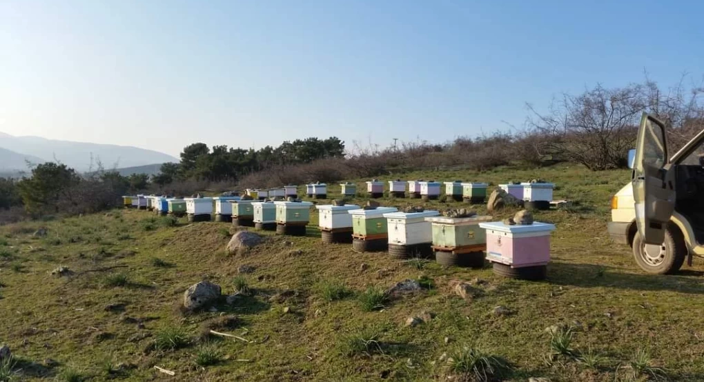 Οικονομική ενίσχυση στον Κλάδο της Μελισσοκομίας ζήτησε ο Τζαμτζής