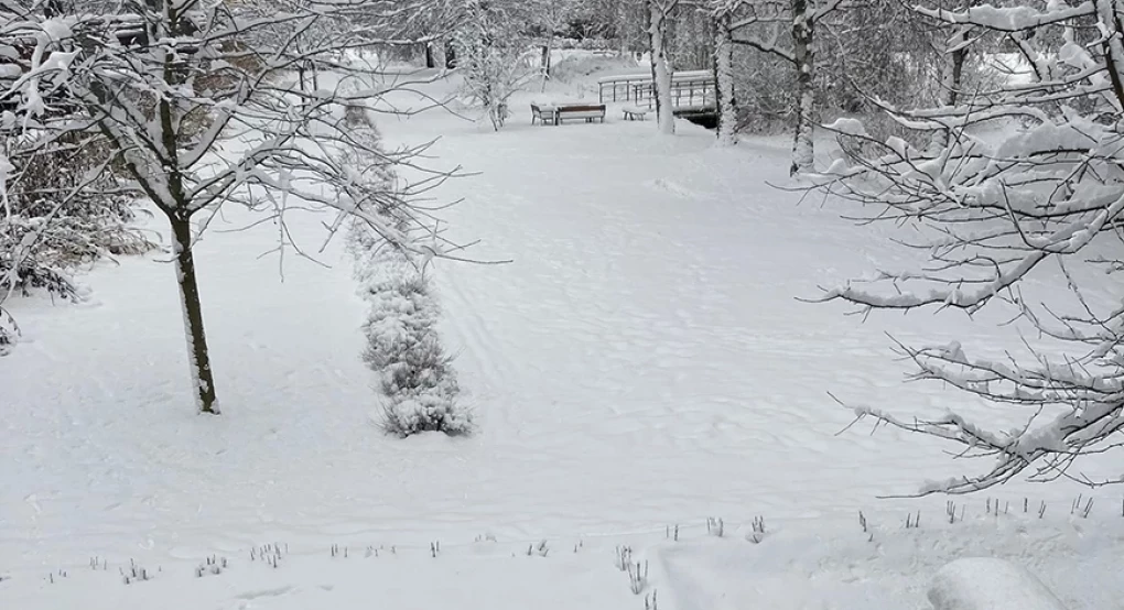 Σουηδία: Από τους 17 βαθμούς στο ψύχος – Τα πάντα καλύφθηκαν από το χιόνι