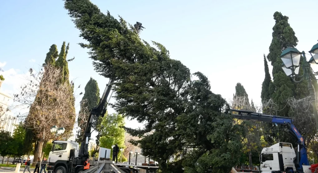 Στήθηκε το χριστουγεννιάτικο δέντρο στην πλατεία Συντάγματος -Έλατο 21 μ. από το Καρπενήσι