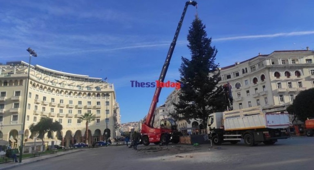 «Μύρισε» Χριστούγεννα στη Θεσσαλονίκη – Στήνεται το χριστουγεννιάτικο δέντρο στην πλ. Αριστοτέλους «Μύρισε» Χριστούγεννα στη Θεσσαλονίκη – Στήνεται το χριστουγεννιάτικο δέντρο στην πλ. Αριστοτέλους