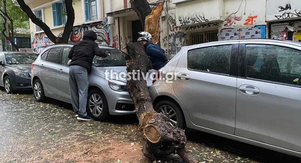 Θεσσαλονίκη: Έπεσαν δέντρα πάνω σε αυτοκίνητα, χωρίς ρεύμα αρκετές περιοχές