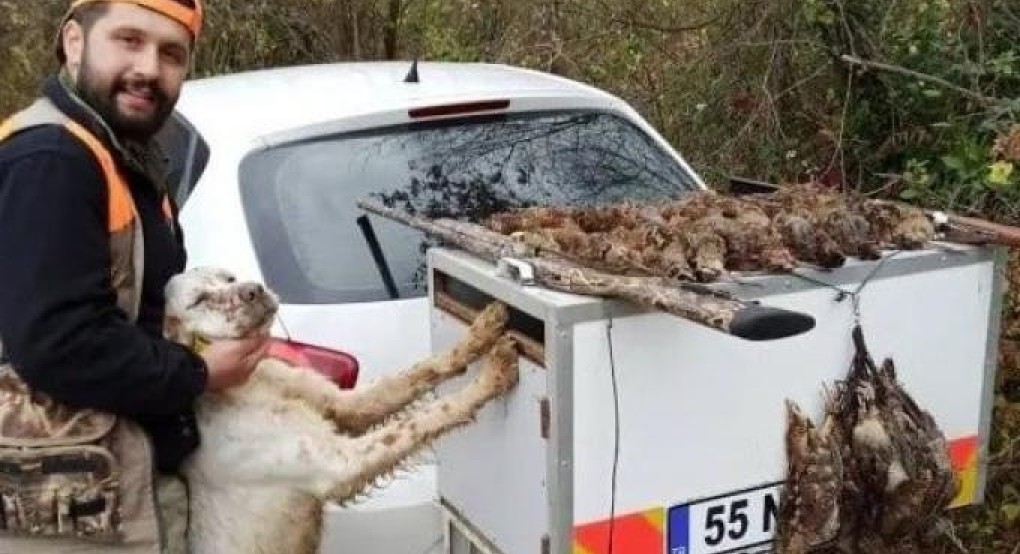 Κυνηγός έχασε τη ζωή του όταν τον πυροβόλησε ο ίδιος του ο σκύλος