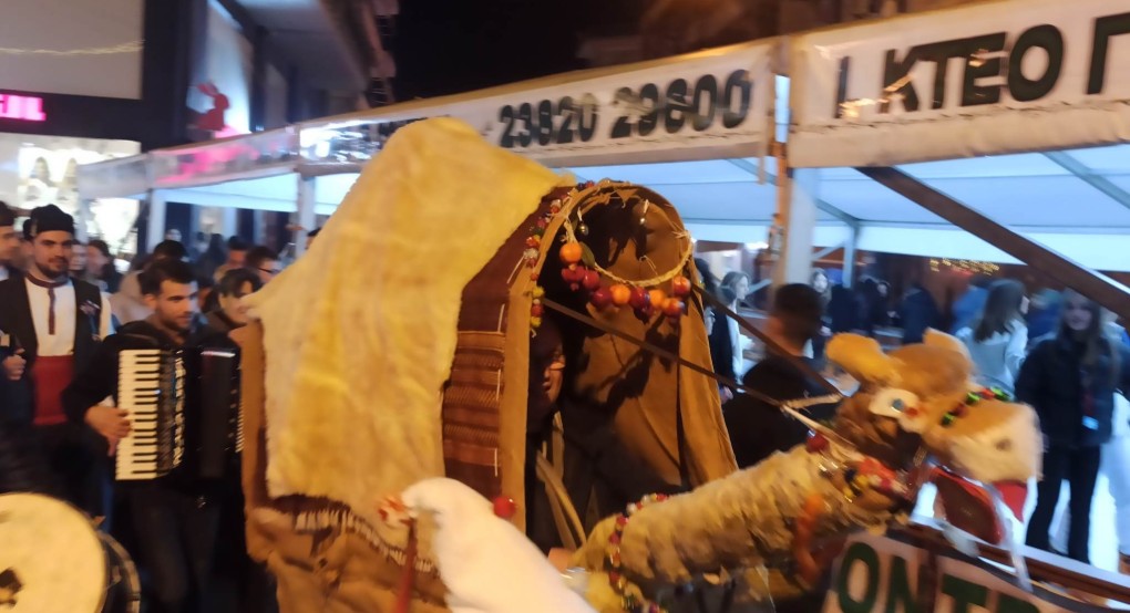 Η Καμήλα πέρασε από τα Γιαννιτσά και...αναστάτωσε όλο το κέντρο! (φώτος) Η Καμήλα πέρασε από τα Γιαννιτσά και...αναστάτωσε όλο το κέντρο! (φώτος)