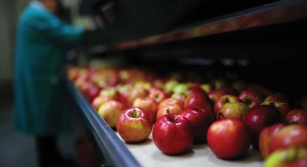 Ταβάνι το 300αρι στα μήλα και όχι για όλους, υπό εξέταση ενισχύσεις σε τομείς που έγραψαν οικονομική ζημιά