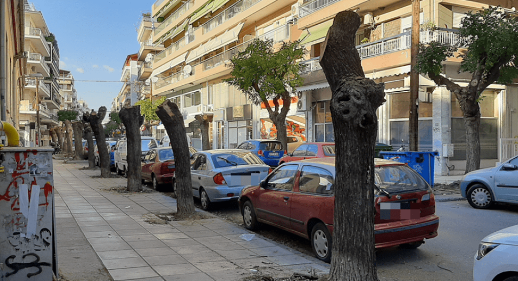 Θεσσαλονίκη: Νέα κινητοποίηση από μέλη οικολογιικών οργανώσεων ενάντια στις κοπές δέντρων