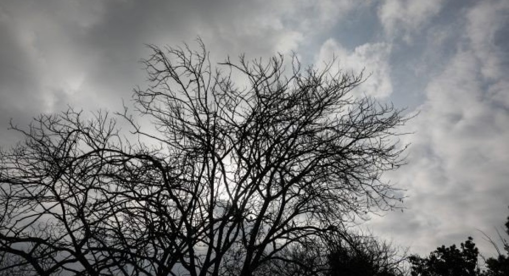 Οι τελευταίες προγνώσεις για τον «ανοιξιάτικο χιονιά» Οι τελευταίες προγνώσεις για τον «ανοιξιάτικο χιονιά»