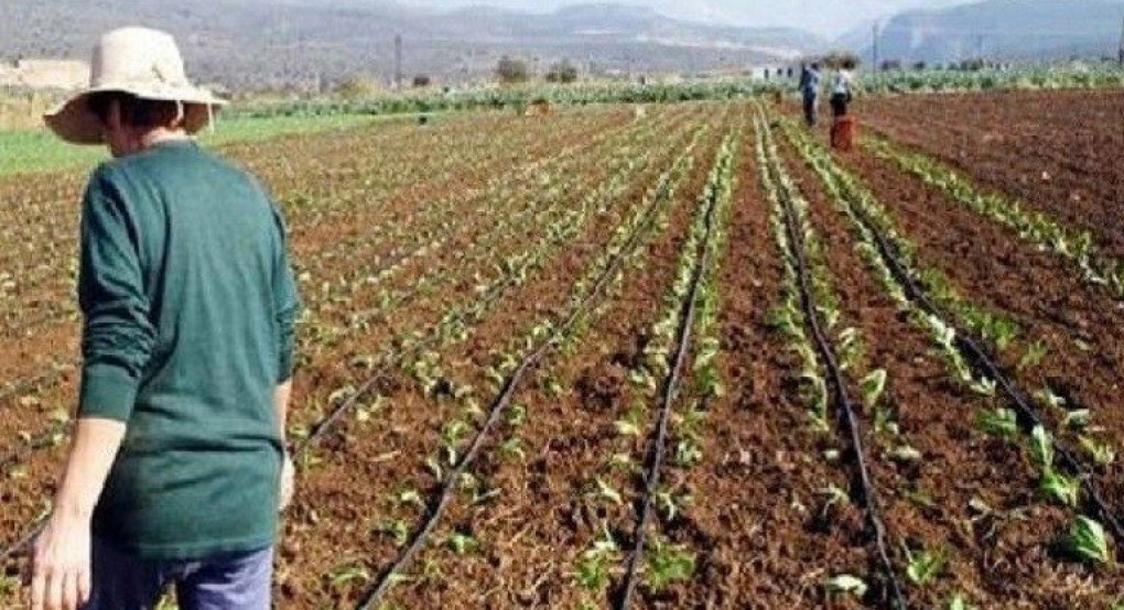 Πανελλαδική Επιτροπή Μπλόκων: Ετοιμάζονται για την Αθήνα οι αγρότες Πανελλαδική Επιτροπή Μπλόκων: Ετοιμάζονται για την Αθήνα οι αγρότες