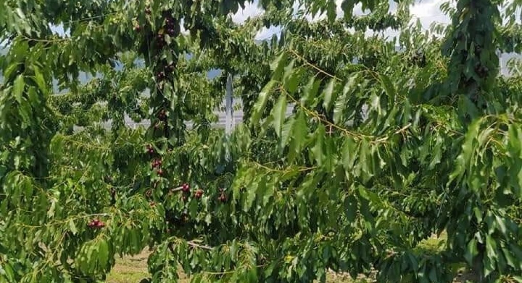 Αναρτήθηκαν τα πορίσματα του ΕΛΓΑ Αναρτήθηκαν τα πορίσματα του ΕΛΓΑ
