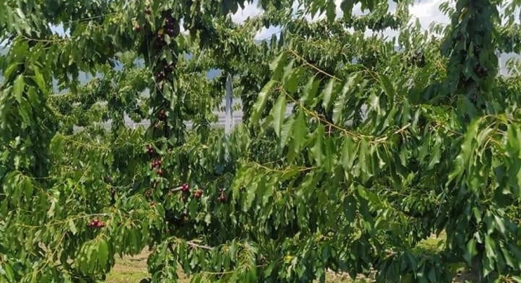 Αναρτήθηκαν τα πορίσματα του ΕΛΓΑ