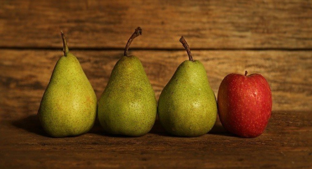 WAPA: Πώς θα διαμορφωθεί η παραγωγή μήλων και αχλαδιών το 2023